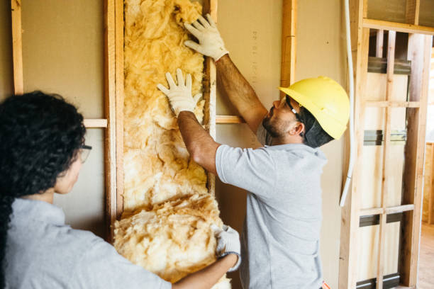 Best Blown-In Insulation  in Trexlertown, PA